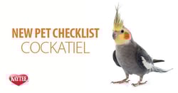 cockatiel-pet-checklist.jpg